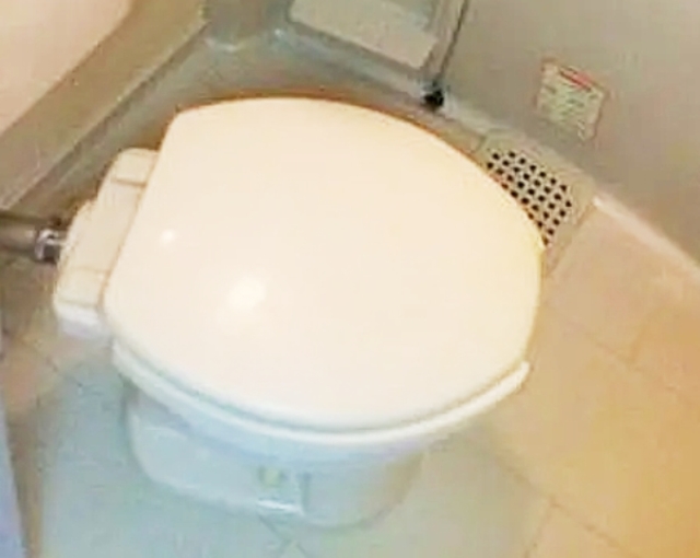 トイレ　同仕様参考写真