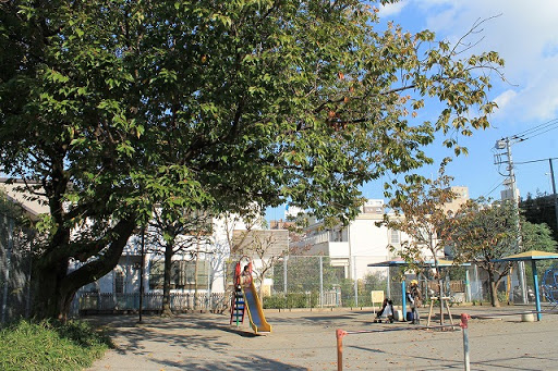 公園　桜新町さくらっ子公園（公園）まで64m