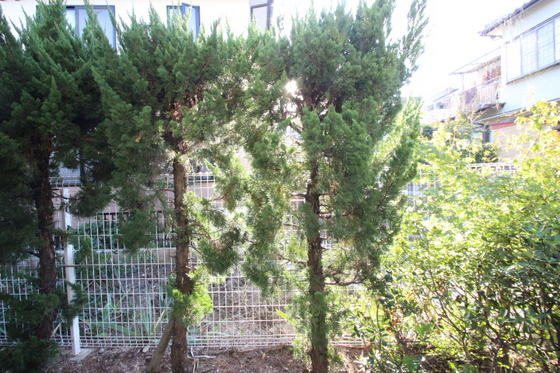 眺望　※別部屋の写真です