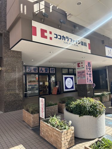 ドラックストア　ココカラファイン薬局 松戸店（ドラッグストア）まで313m
