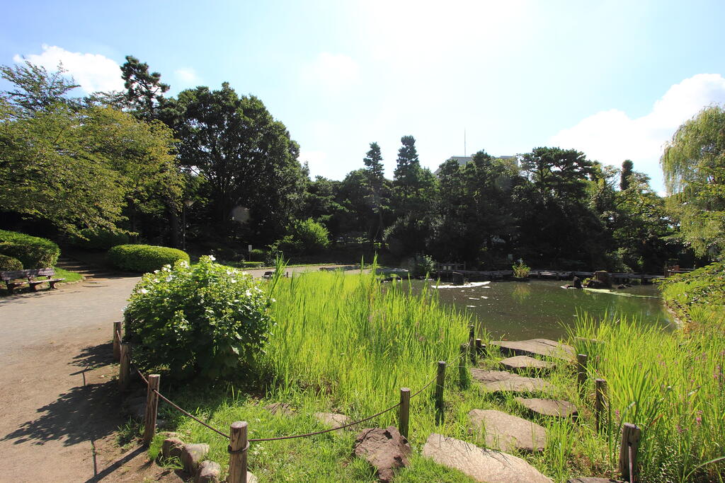 公園　哲学堂公園（公園）まで561m