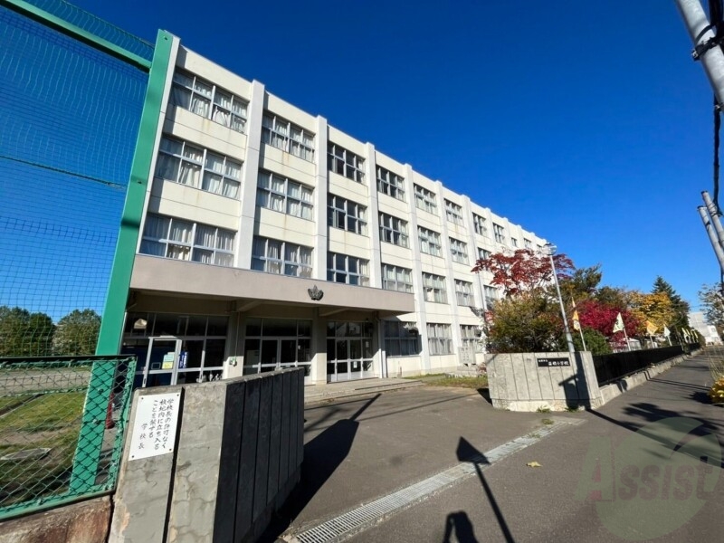 小学校　札幌市立苗穂小学校（小学校）まで339m