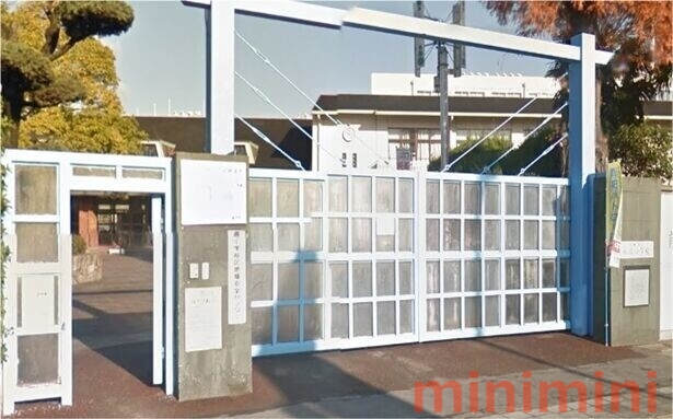 小学校　高槻市立桃園小学校（小学校）まで367m