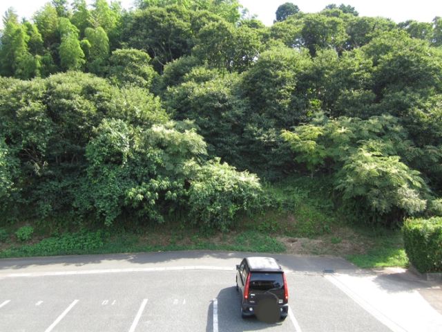 ロイヤルパーク 弐番館のその他写真