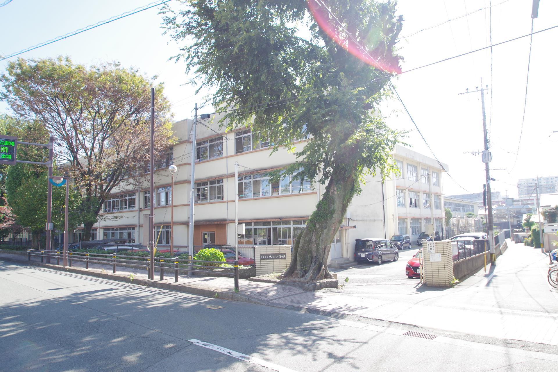 小学校　熊本市立大江小学校（小学校）まで335m