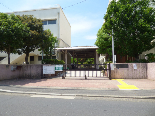 小学校　横浜市立大綱小学校（小学校）まで356m