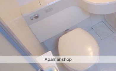 小田急線 経堂駅 徒歩12分 2階建 築37年のトイレ写真