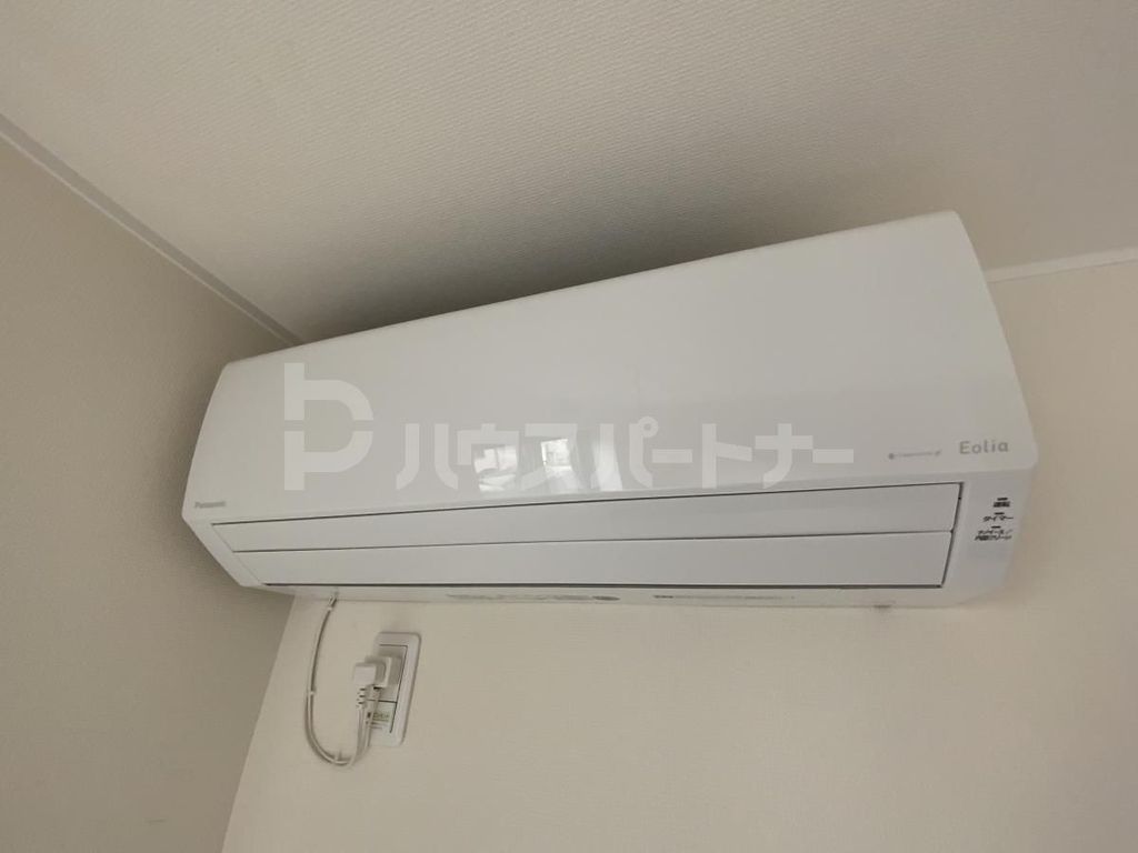 リコリスのその他写真