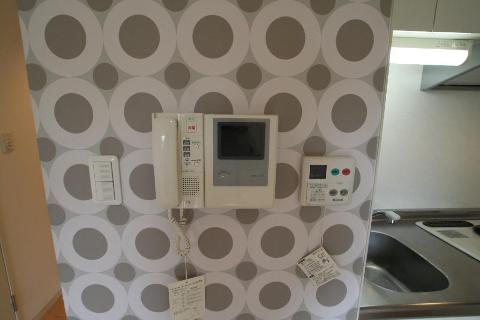 セキュリティ　カメラ付インターホン