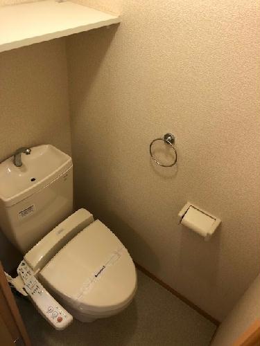 レオネクストベッサーレーベンのトイレ写真