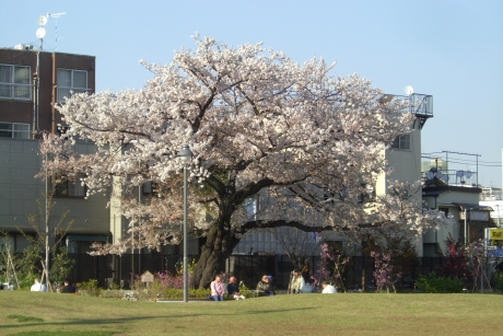 【ZOOM新宿御苑前の公園】