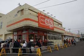 ショッピングセンター　ザ・ビッグエクスプレス前田店（ショッピングセンター）まで794m