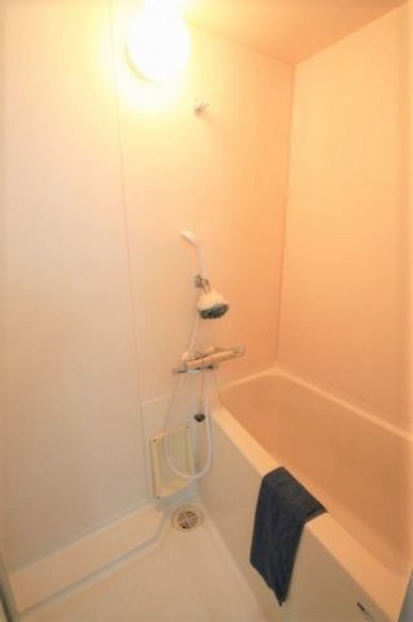 バス・シャワールーム　他号室のお写真です