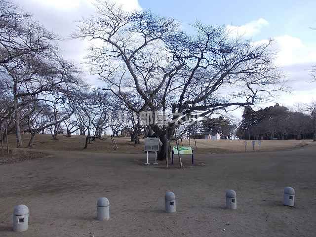 公園　三神峯公園（公園）まで328m