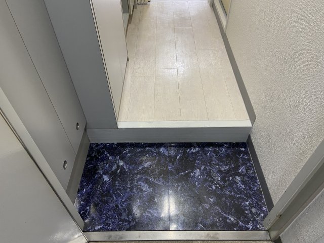 セレーネ田辺III-Aの玄関写真