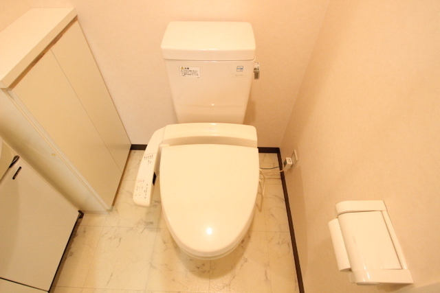 トイレ　※別号室の写真です