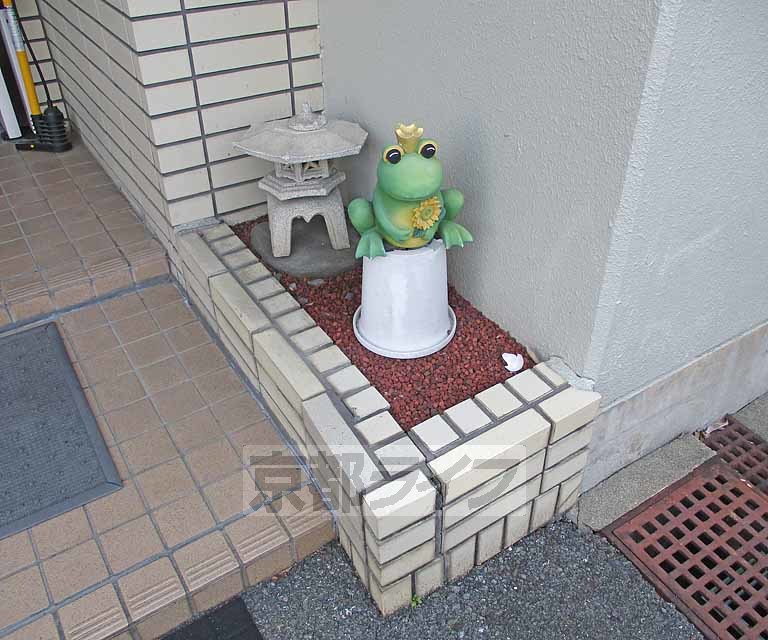 庭