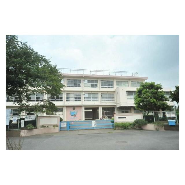 小学校　平塚市立城島小学校（小学校）まで700m