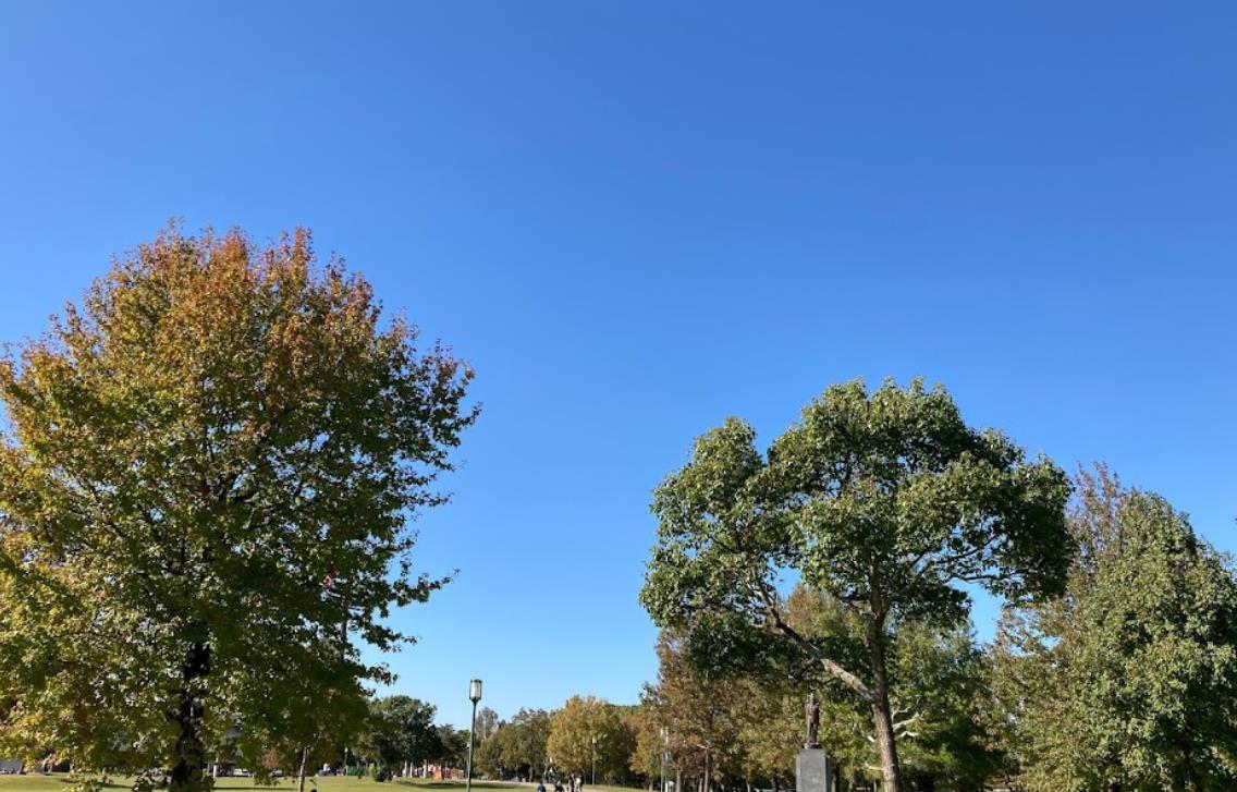 公園　佐賀県立森林公園（公園）まで1000m
