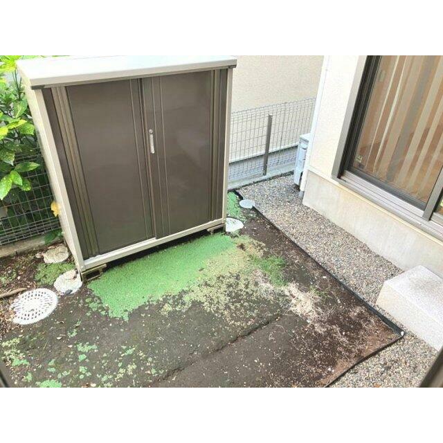 庭