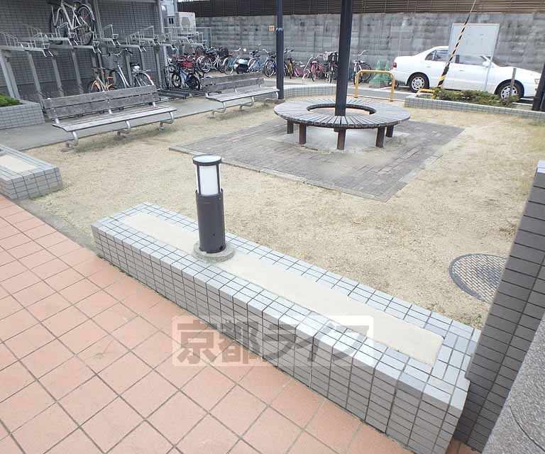 庭
