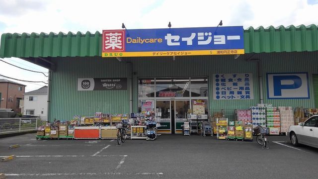 ドラックストア　デイリーケアセイジョー浦和円正寺店（ドラッグストア）まで680m