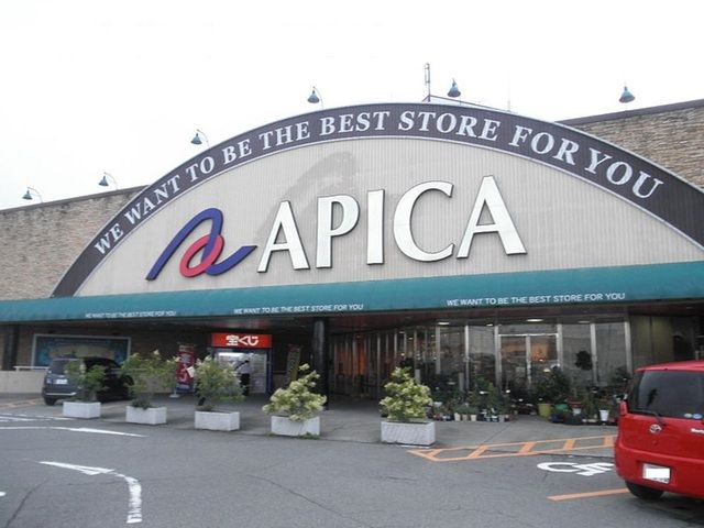 ショッピングセンター　アピカ（ショッピングセンター）まで2100m