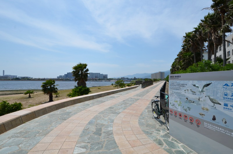 公園　御前浜公園（公園）まで244m