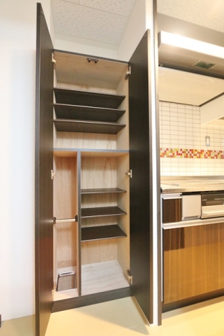 玄関　同型タイプの写真になります