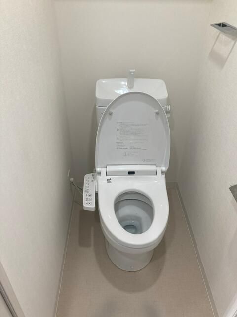 エストゥルース両国のトイレ写真