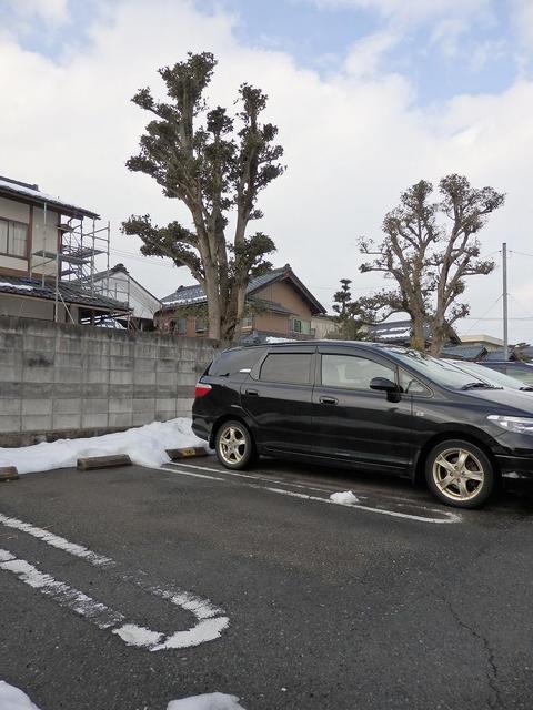 【セブンヒル　Ｂの駐車場】