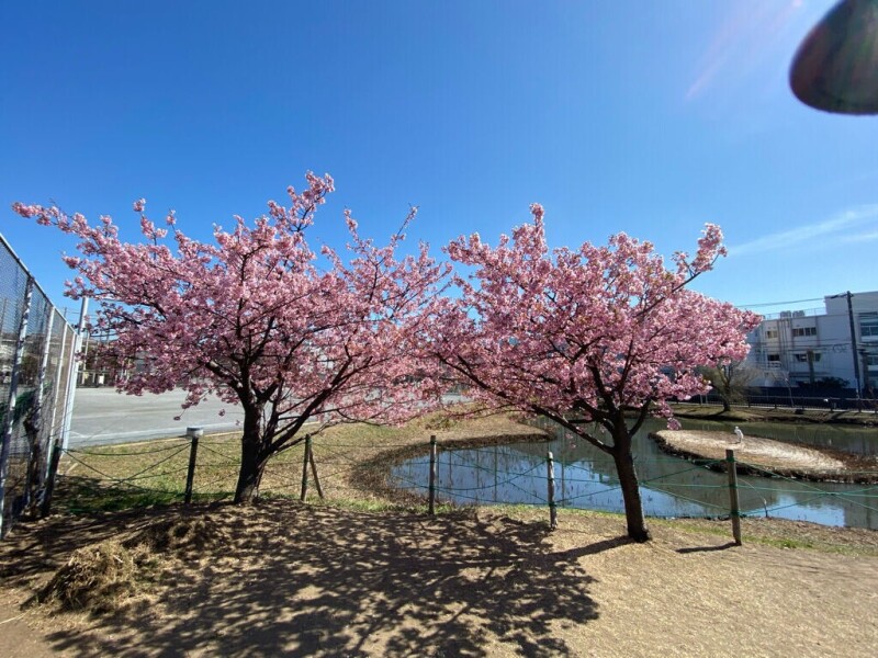 【Le　Vert（ルヴェール）の公園】