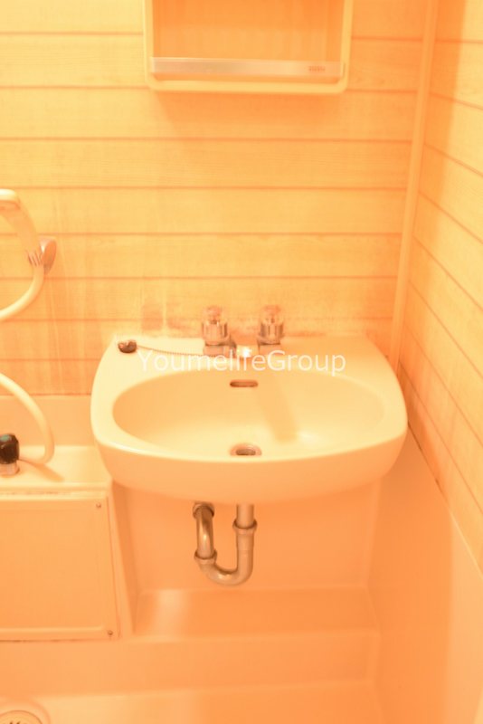 洗面設備　※別部屋参考写真※