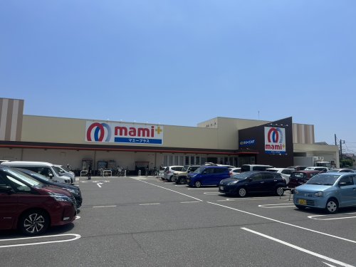 スーパー　マミープラス 柏根戸店（スーパー）まで1613m