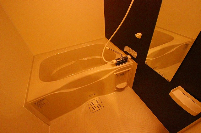 バス・シャワールーム　同物件、別号室のものです。