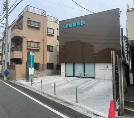 病院　える動物病院（病院）まで872m
