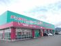 ドラックストア　ディスカウント ドラッグ コスモス 上板店（ドラッグストア）まで736m
