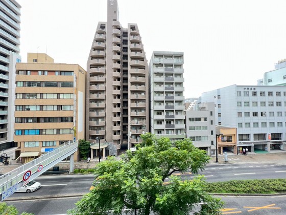 眺望　※別部屋の写真です