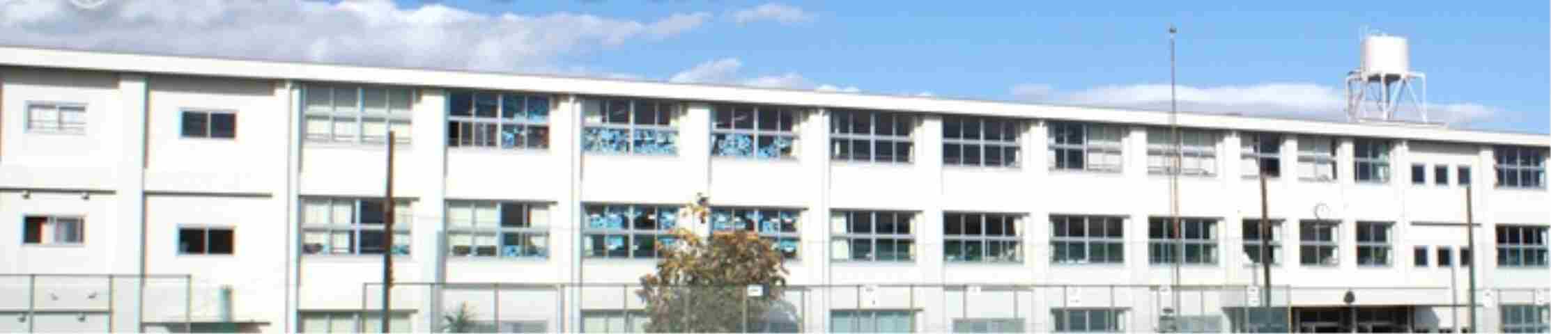小学校　伊勢原市立伊勢原小学校（小学校）まで553m