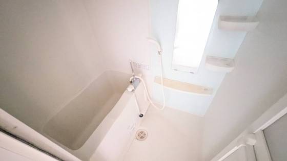 バス・シャワールーム　※別部屋の写真です