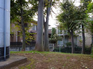 公園　羽根木小緑地（公園）まで864m