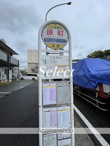 その他　原町（その他）まで556m