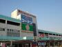 スーパー　ライフ菱江店（スーパー）まで380m
