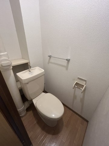 ハイデルベルクのトイレ写真