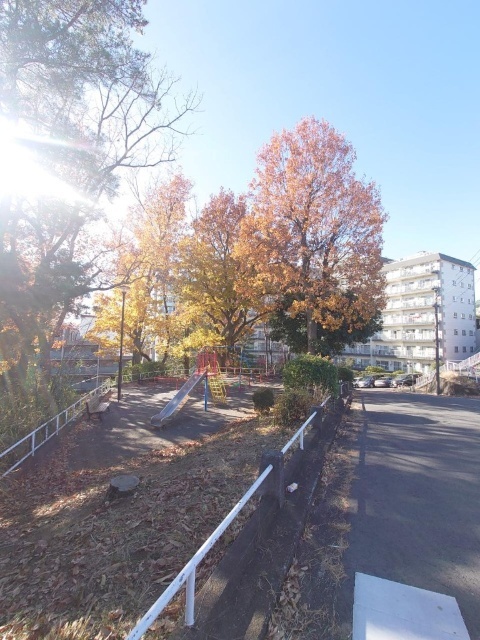 公園　藤が丘第二公園（公園）まで55m