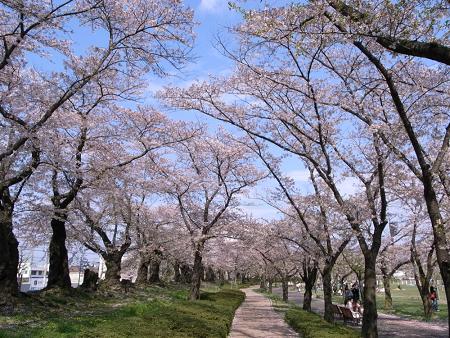 公園　開成山公園（公園）まで670m