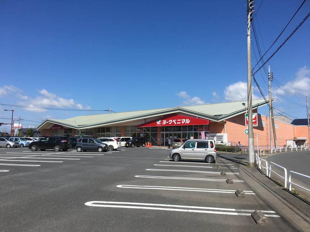 パークサイド川崎の周辺写真