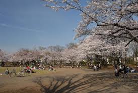 【府中市晴見町のマンションの公園】