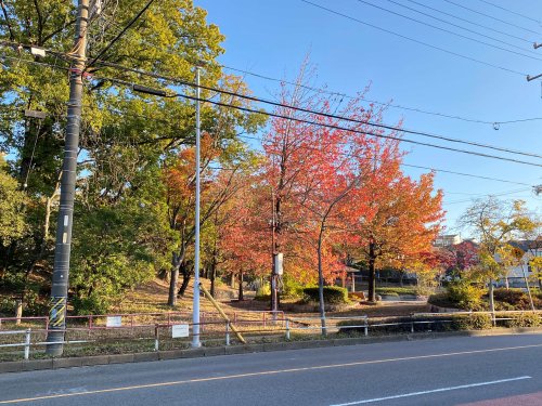 【カロン土原の公園】