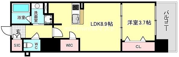 RJRプレシア南堀江の間取り